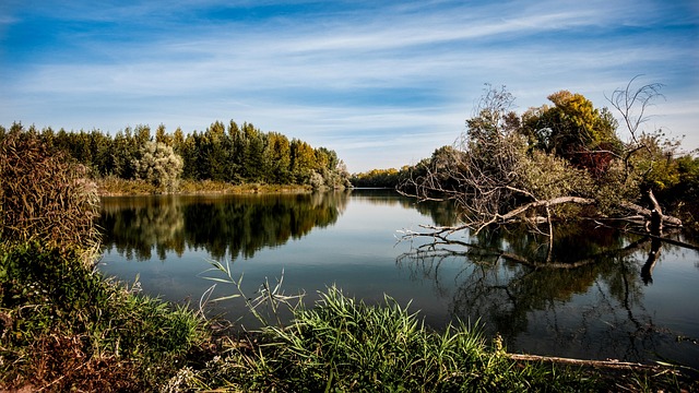 person meditating outdoors in nature without phone serene calm environment